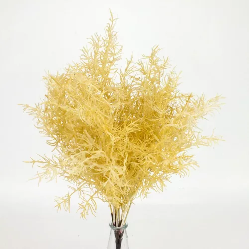 Szárazvirág hatású aszparágusz csokor natúr 2db/csomag