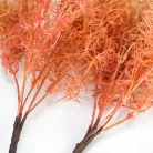 Szárazvirág hatású aszparágusz csokor púder 2db/csomag