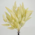 Szárazvirág hatású tollvirág csokor krém 2db/csomag