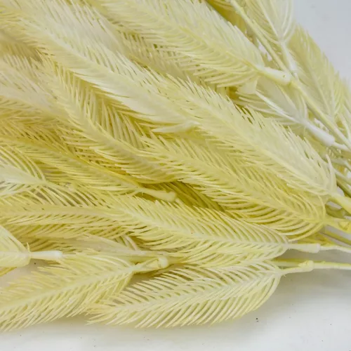 Szárazvirág hatású tollvirág csokor krém 2db/csomag