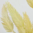 Szárazvirág hatású tollvirág csokor krém 2db/csomag