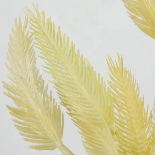 Szárazvirág hatású tollvirág csokor krém 2db/csomag