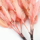 Szárazvirág hatású tollvirág csokor rózsaszín 2db/csomag