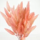 Szárazvirág hatású tollvirág csokor rózsaszín 2db/csomag