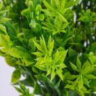 Csillagvirág csokor zöld 2db/csomag