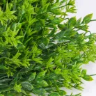 Csillagvirág csokor zöld 2db/csomag