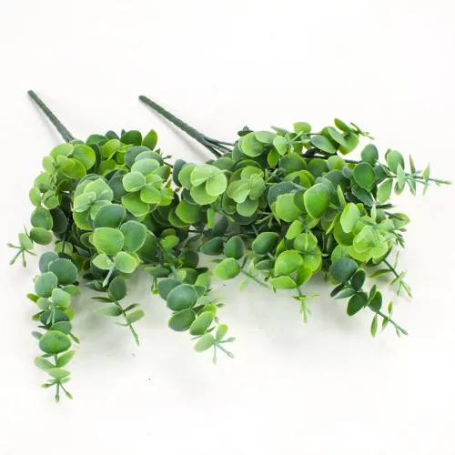 Eukaliptusz bokor hamvas zöld 2db/csomag