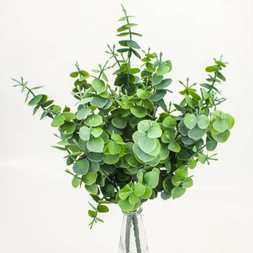 Eukaliptusz bokor hamvas zöld 2db/csomag