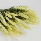 Kalász csokor krém 2db/csomag