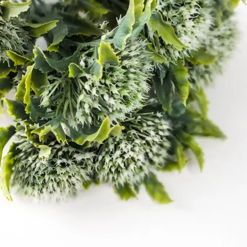 Sedum csokor fehér 2db/csomag