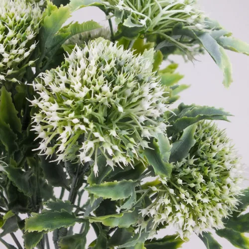 Sedum csokor fehér 2db/csomag