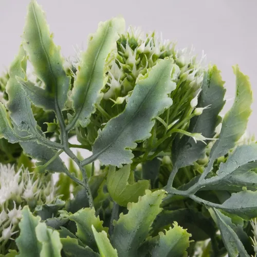 Sedum csokor fehér 2db/csomag