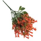 Trombitavirág csokor korall 2db/csomag