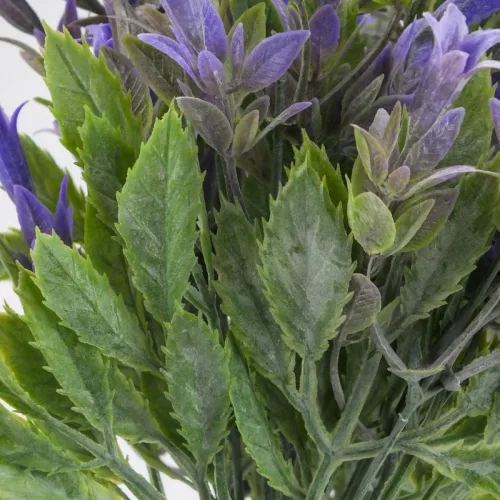 Trombitavirág csokor lila 2db/csomag