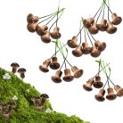 Gomba pick barna 2*1,5cm 25db/csomag