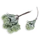 Hamvas zöld articsóka pick 6 fejes 10db/csomag