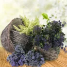  Antikolt vessző tál bélelt 3db/szett 9/# 