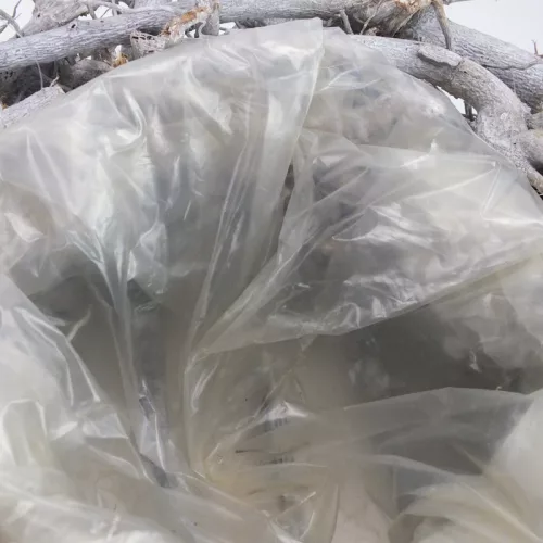 Bélelt tál faágakból 35cm 6/#