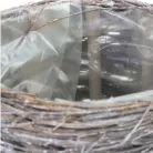 Fonott inda kaspó 20x14cm 24/#