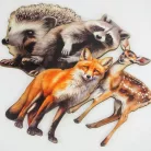 Nyomtatott dekorkarton - Őszi állatos válogatás (sünivel) 4db