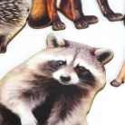 Nyomtatott dekorkarton - Őszi állatos válogatás (sünivel) 4db