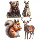 Nyomtatott dekorkarton - Őszi állatos válogatás (mókussal) 4db