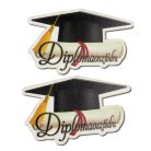 Nyomtatott dekorkarton - Diplomaosztódra 2db/csomag