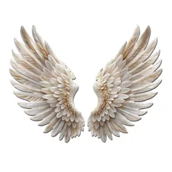 Nyomtatott dekorkarton - Angyalszárny 2db/szett