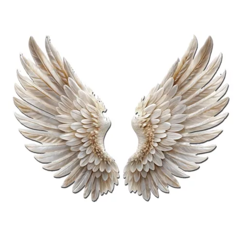 Nyomtatott dekorkarton - Angyalszárny 2db/szett