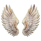 Nyomtatott dekorkarton - Angyalszárny 2db/szett