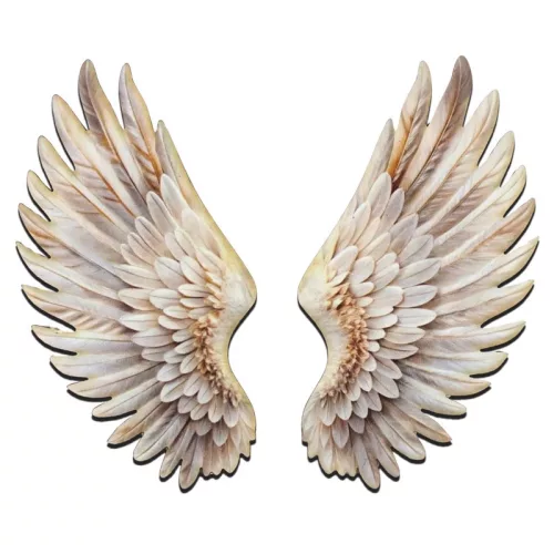 Nyomtatott dekorkarton - Angyalszárny 2db/szett