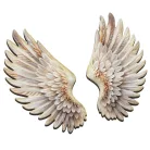 Nyomtatott dekorkarton - Angyalszárny 2db/szett