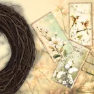 Nyomtatott dekorkarton - Tavaszi zöld téma OKOSÁR 11db/csomag