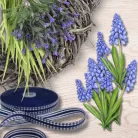 Nyomtatott dekorkarton - Muscari 2db/csomag