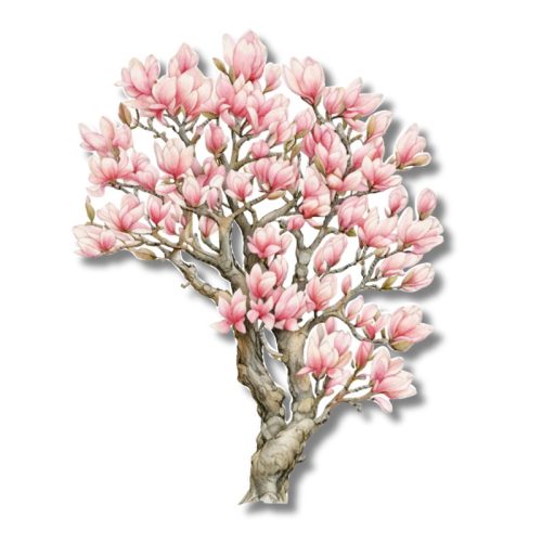 Nyomtatott dekorkarton - Virágzó magnólia fa 13cm