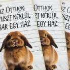 Nyomtatott dekorkarton - Az otthon nyuszi nélkül 3db/csomag