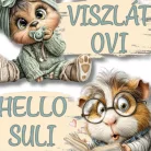 Nyomtatott dekorkarton - Viszlát ovi... 2db/csomag