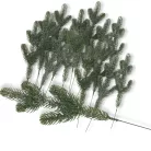  Fenyőág 20db/cs 90/#
