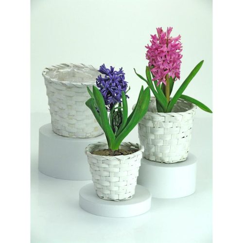 Bambusz kaspó fehér 16cm