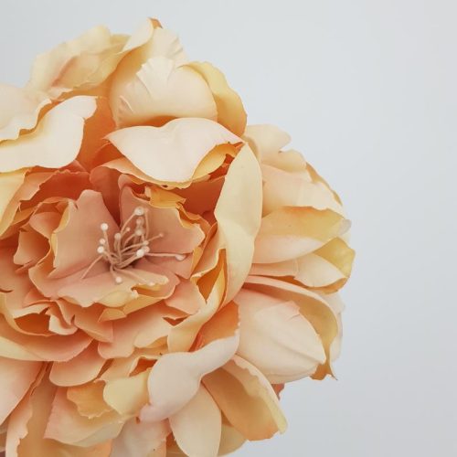 Babarózsa 13cm cirmos-barack