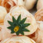 Boglárka fej kicsi 15db/cs barack