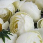 Boglárka fej kicsi 15db/cs krém