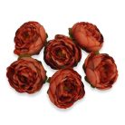 Boglárka fej 5,5 cm láva 6db/cs