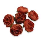 Boglárka fej 5,5 cm láva 6db/cs