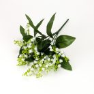 Csokros 7 ágú gyöngyvirág