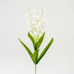 Szálas gyöngyvirág