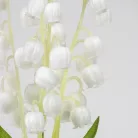 Szálas gyöngyvirág