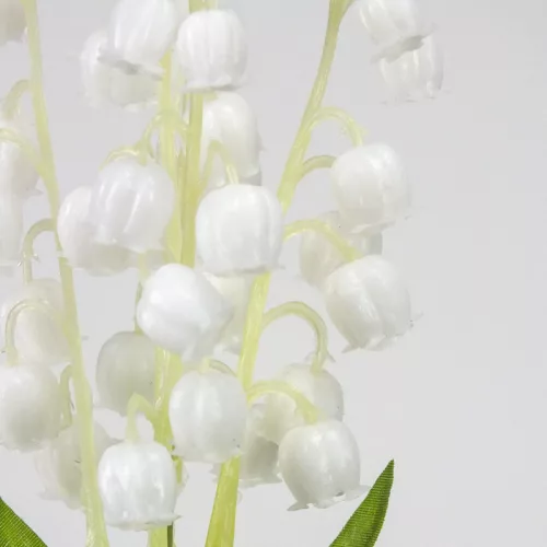 Szálas gyöngyvirág