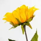 Szálas napraforgó 40cm