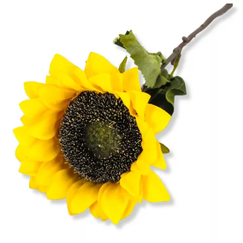 Szálas napraforgó 40cm